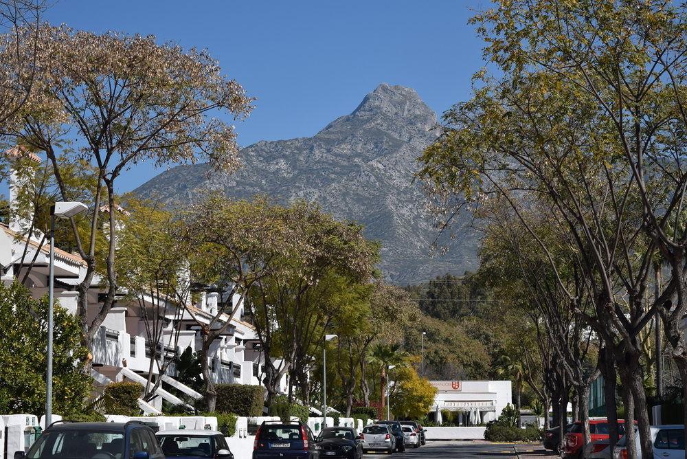 Naranjos De